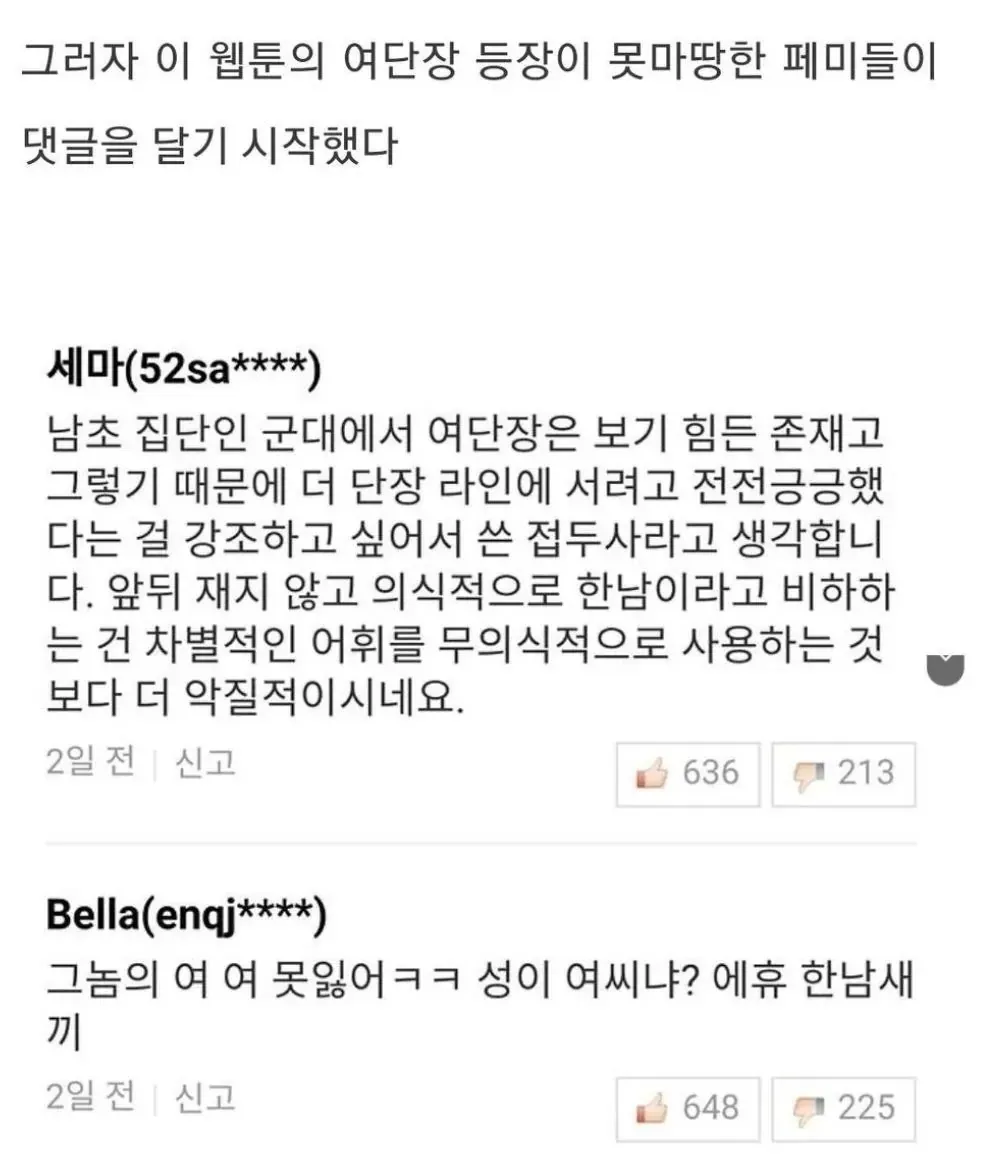 군대 웹툰에 댓글단 언냐들 