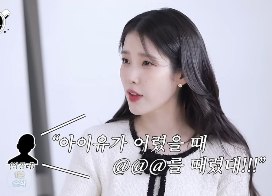 아이유도 가장 어이없어한 악플