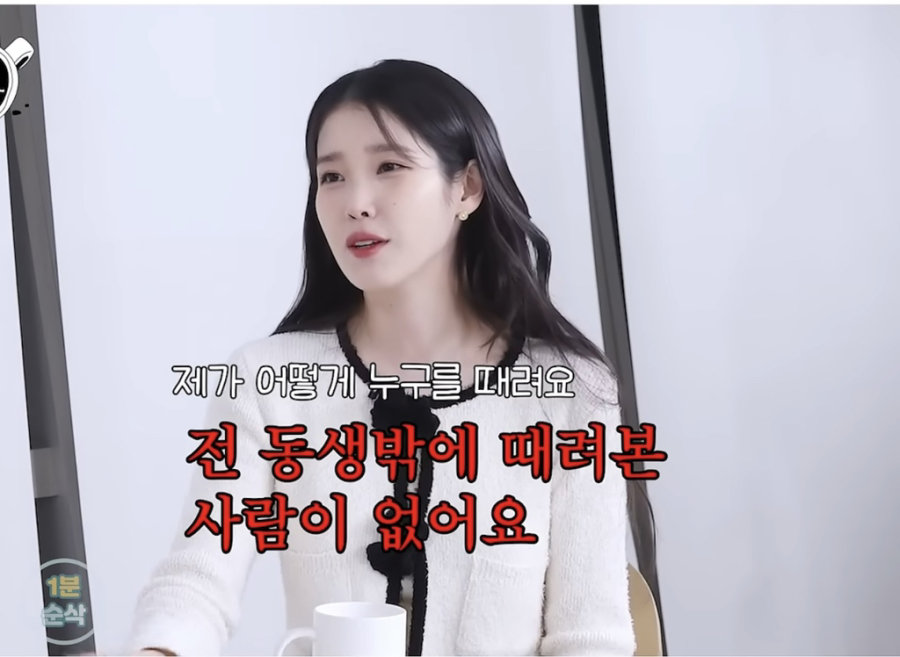 아이유도 가장 어이없어한 악플