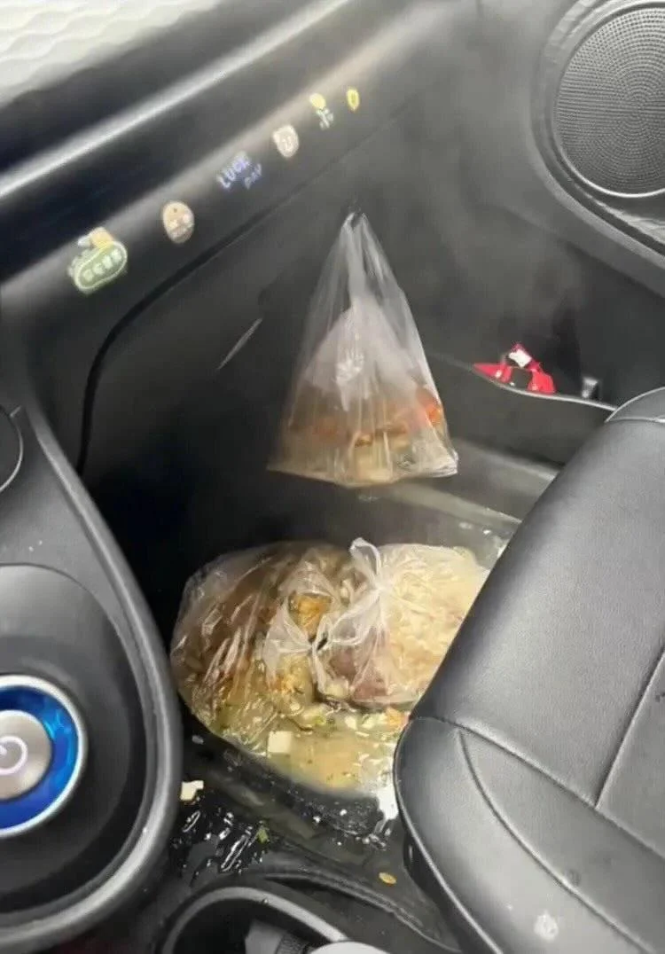 보자마자 '아' 소리가 나오는 사진