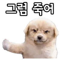 1777096583416797.webp