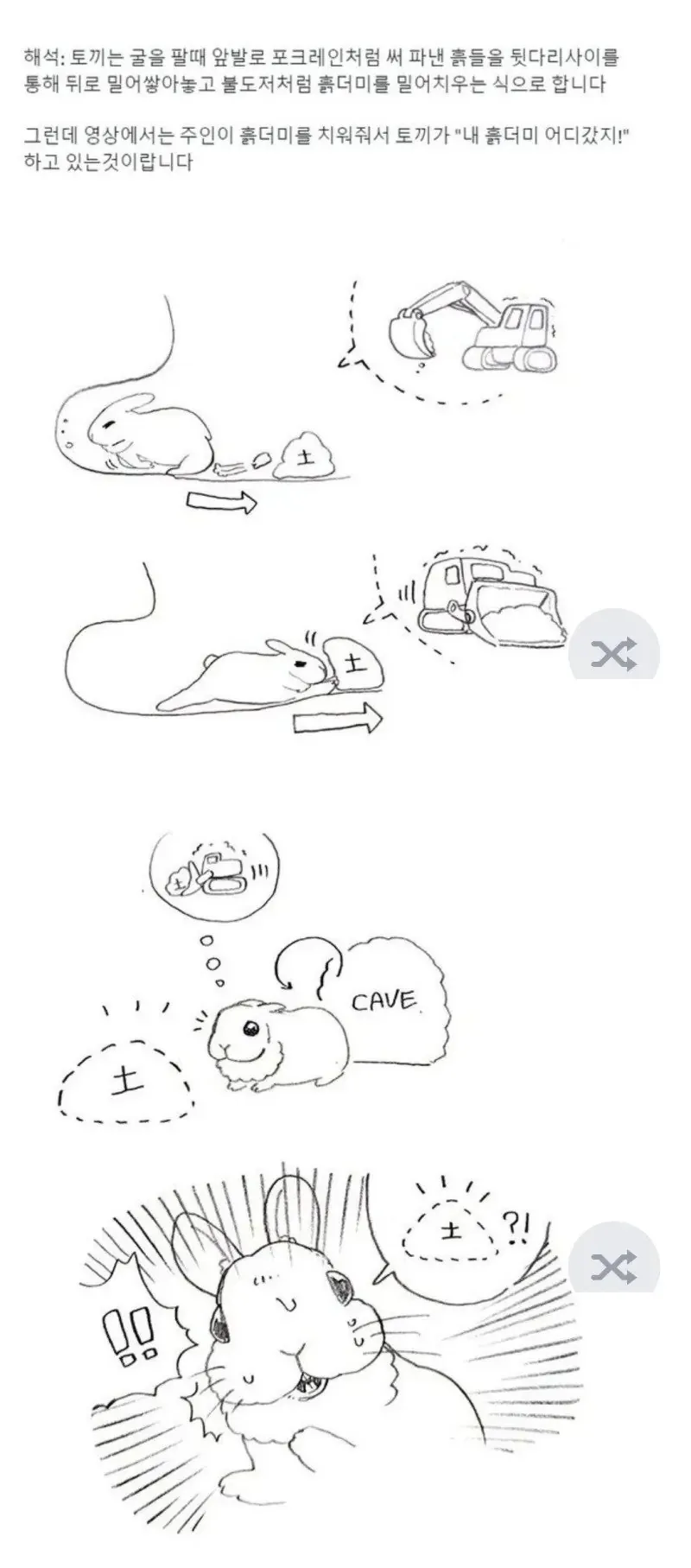 토끼가 굴 파다가 당황한 이유 