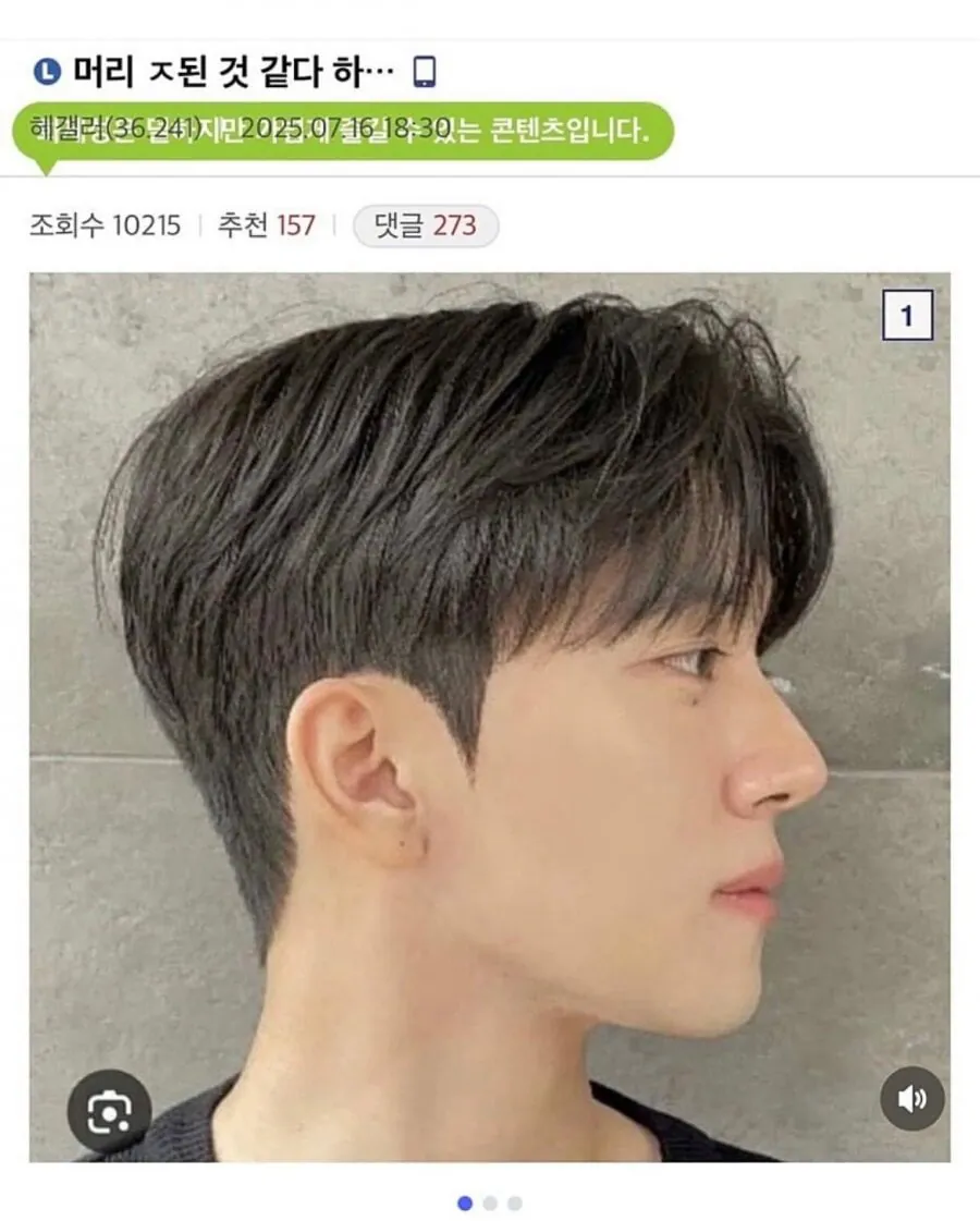 머리 ㅈ된거 같다... 