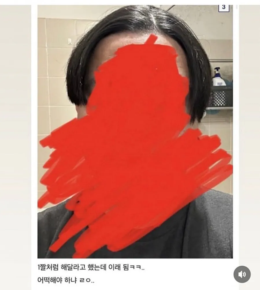 머리 ㅈ된거 같다... 