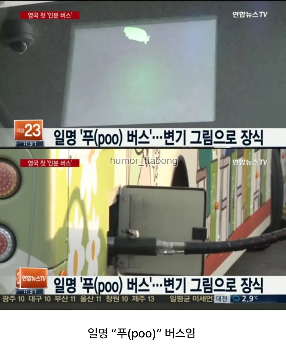 사람의 똥으로 달리는 버스 