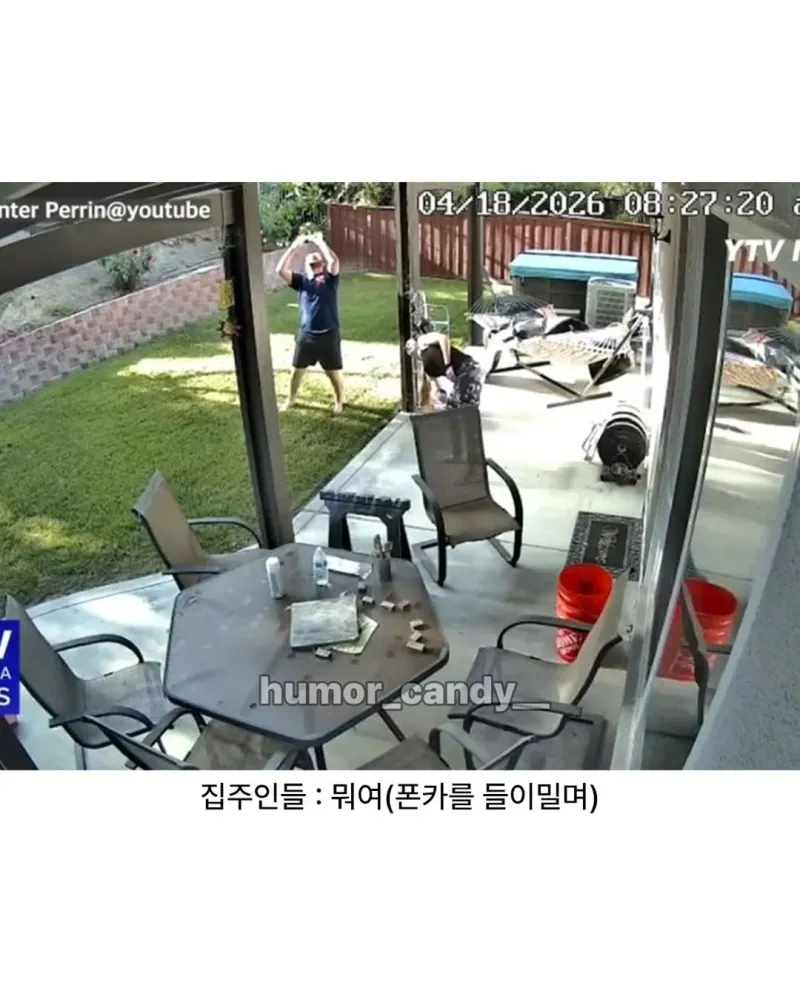 우리집 마당에 모르는 사람 13명이 들어옴 