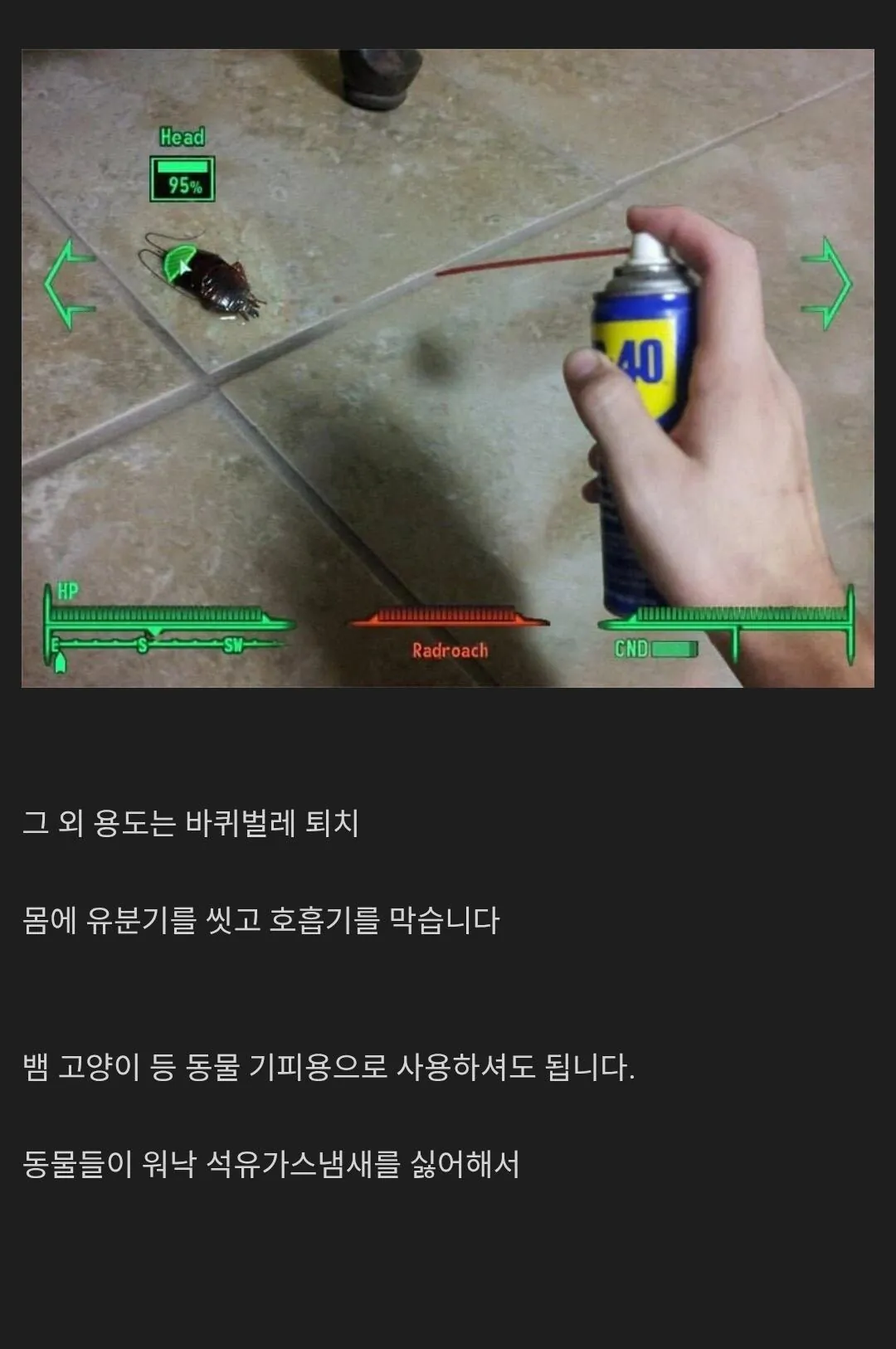 1778024620859857.webp