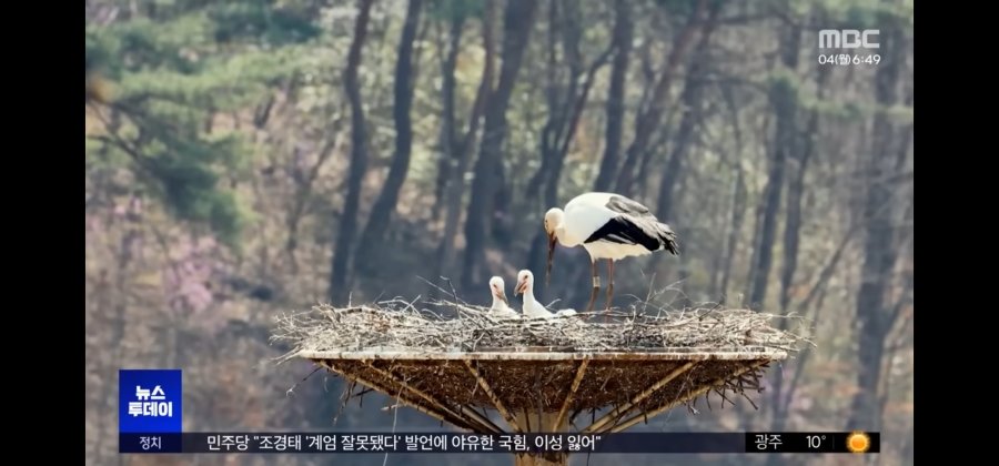 자본주의 퇴마된 살목지 근황ㄷㄷ