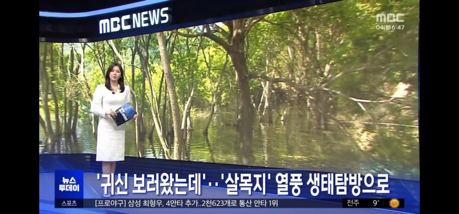 자본주의 퇴마된 살목지 근황ㄷㄷ