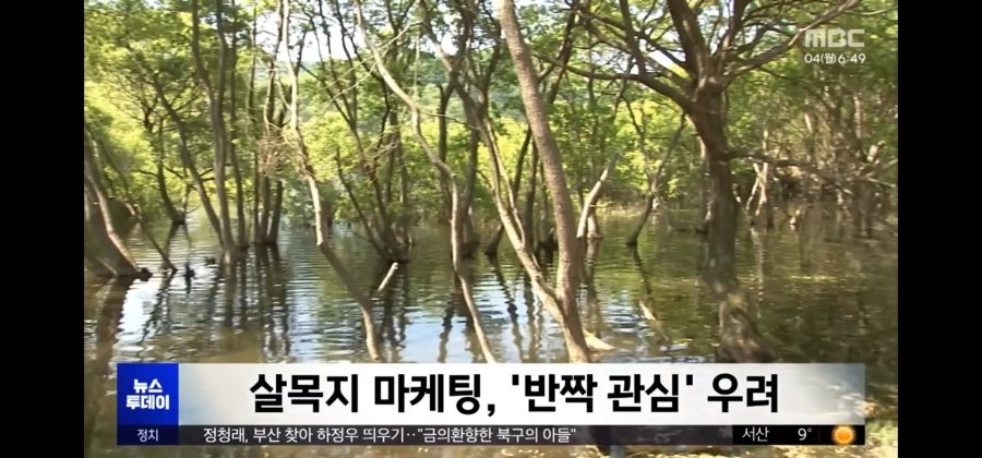 자본주의 퇴마된 살목지 근황ㄷㄷ