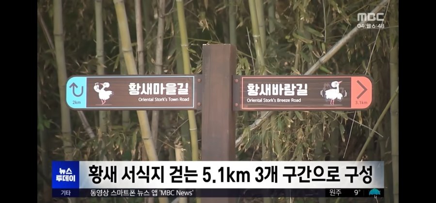 자본주의 퇴마된 살목지 근황ㄷㄷ