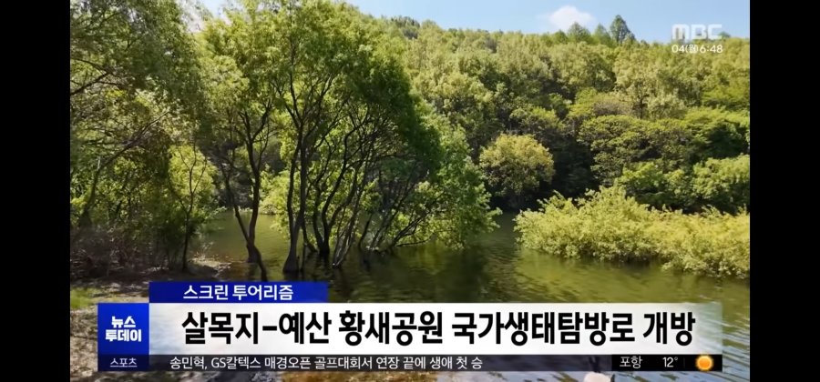 자본주의 퇴마된 살목지 근황ㄷㄷ