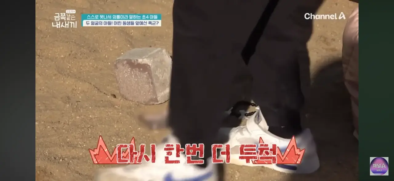 학교에서 후배 폰 벽돌 내리친 금쪽이 
