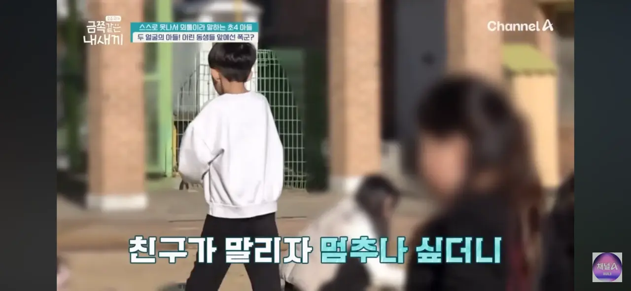 학교에서 후배 폰 벽돌 내리친 금쪽이 