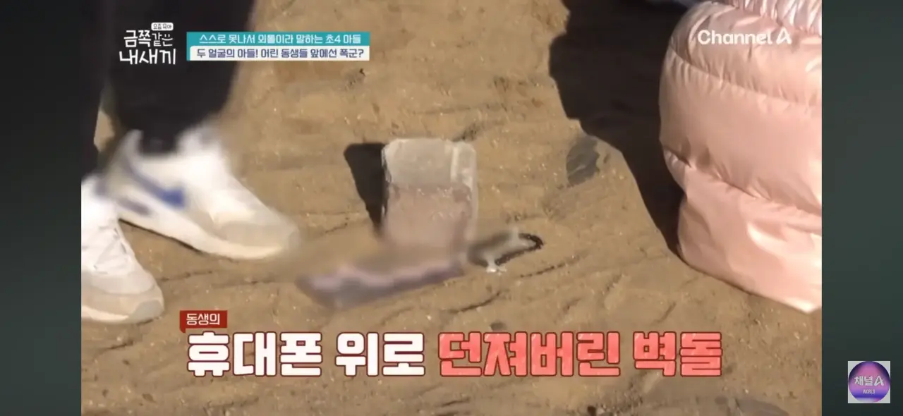 학교에서 후배 폰 벽돌 내리친 금쪽이 