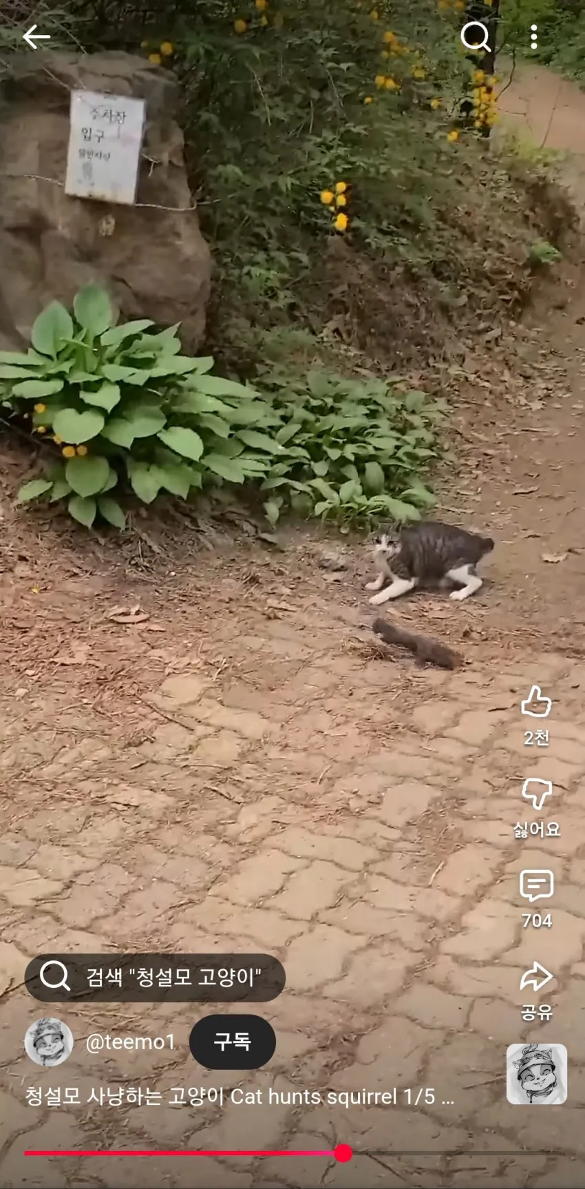 1778629959435093.webp
