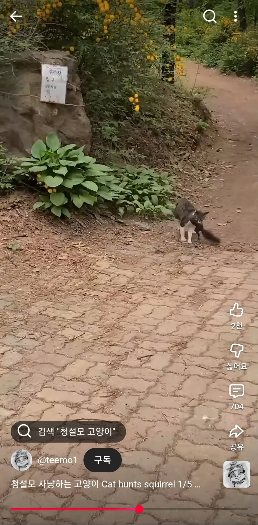 1778629959852824.webp