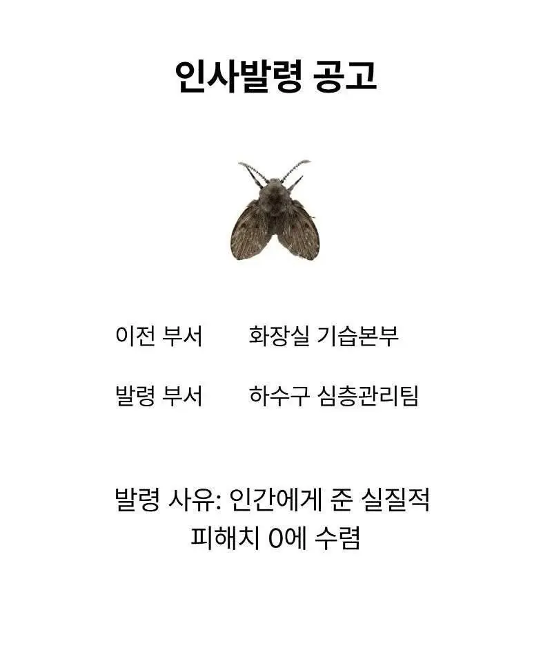 1779087490108823.webp