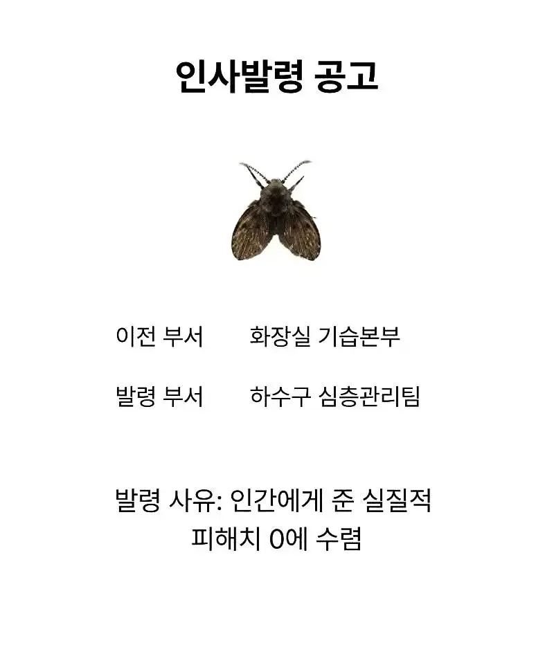 1779170045084181.webp