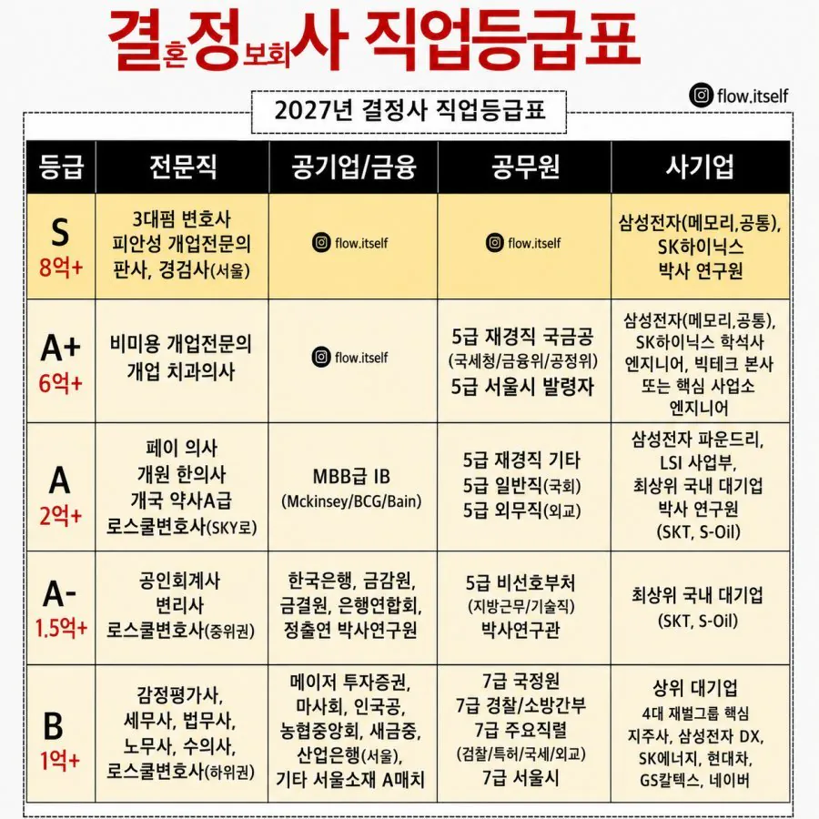 결혼정보회사 S급 직업 등급표