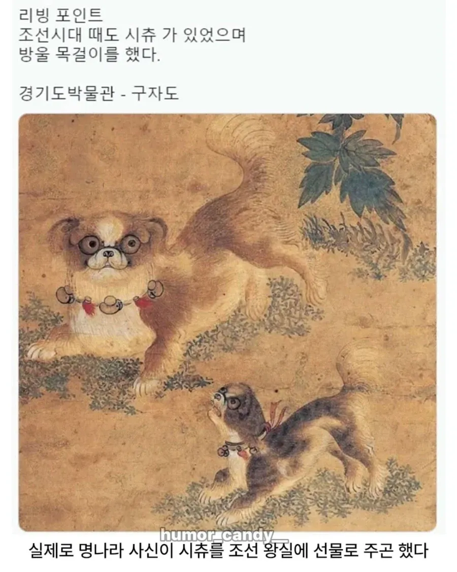 1779946734278287.webp