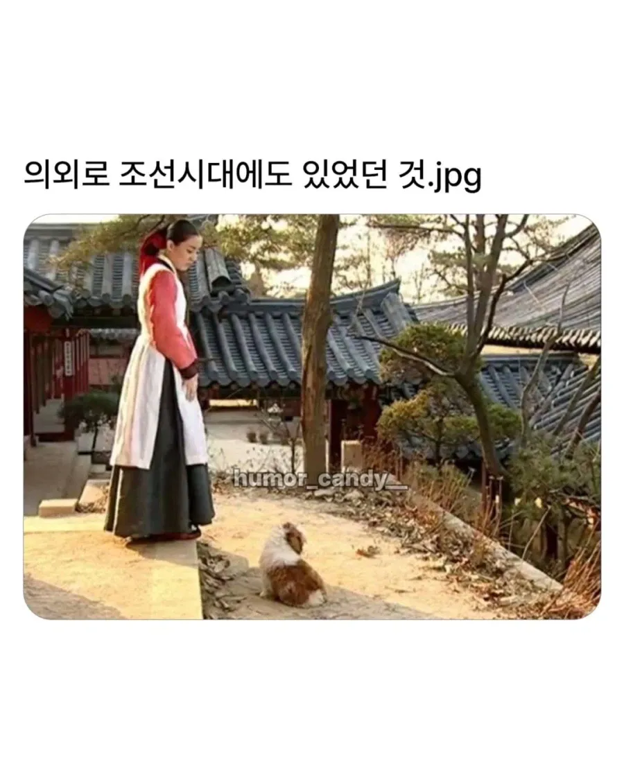1779946734797624.webp