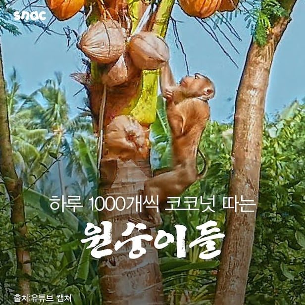 1780040291076245.jpg