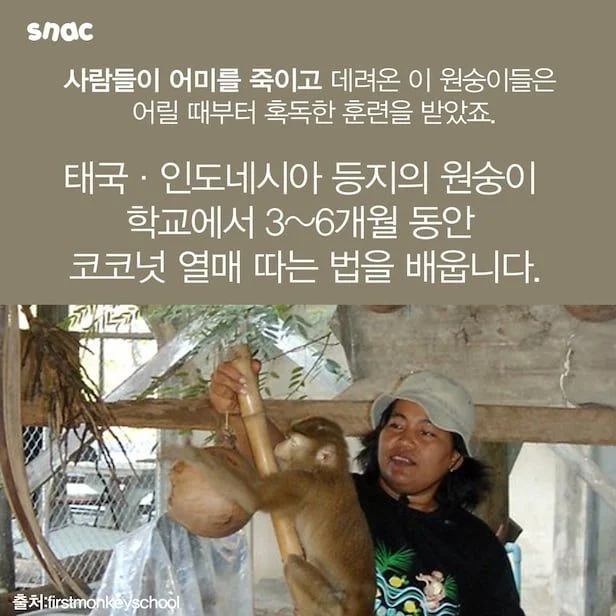 1780040291936665.webp