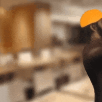 1780367166141358.gif