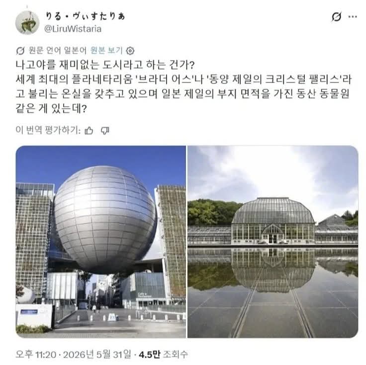 한국인에게 긁힌 일본인 