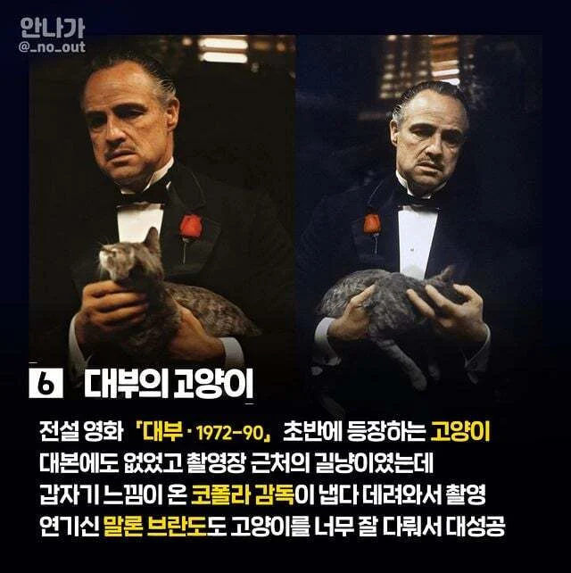 1781012415760595.webp