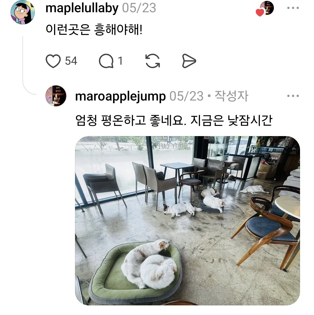 1781355893652719.webp