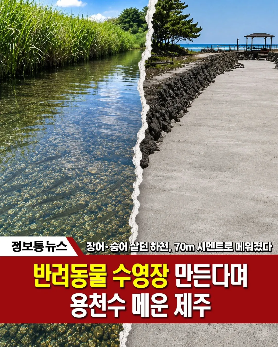 1781653634807112.webp