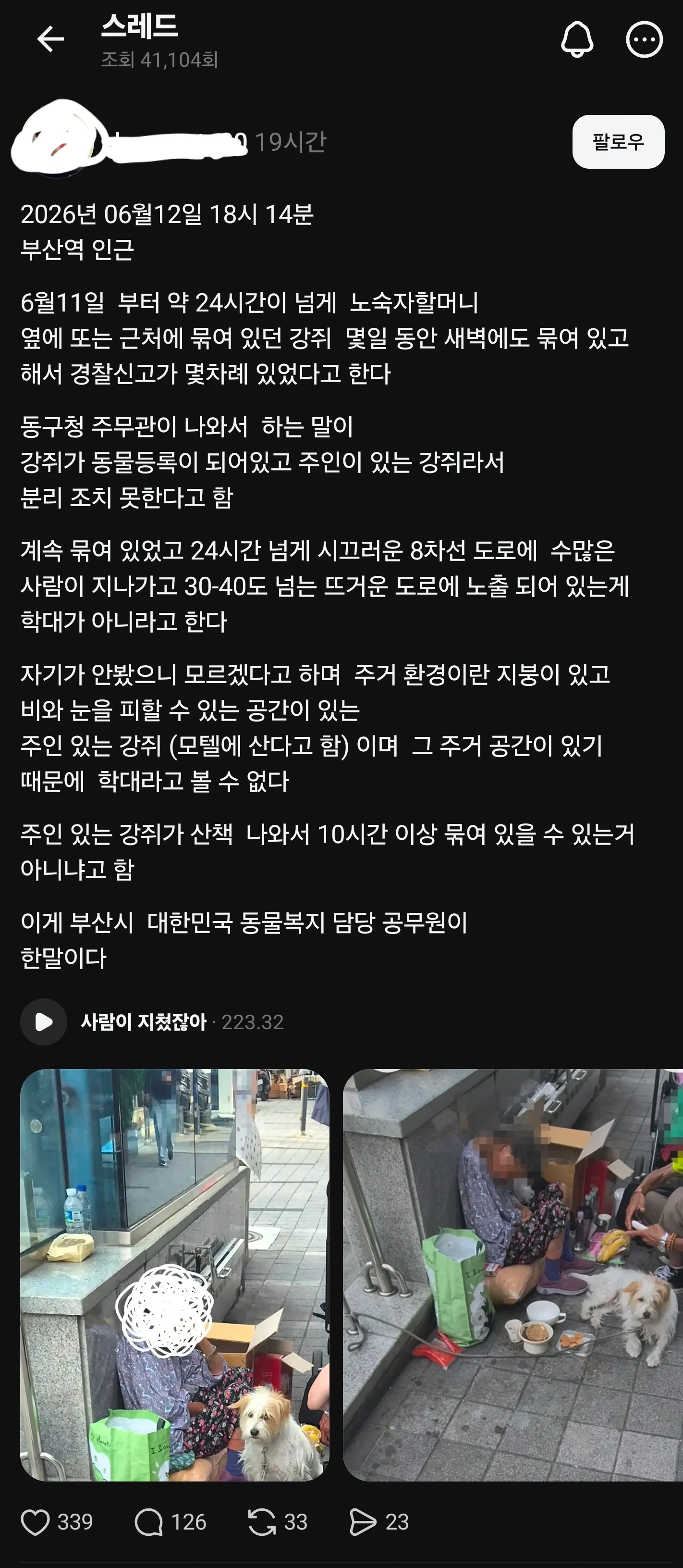 별게 다 강아지 학대라는 스레드 아줌마