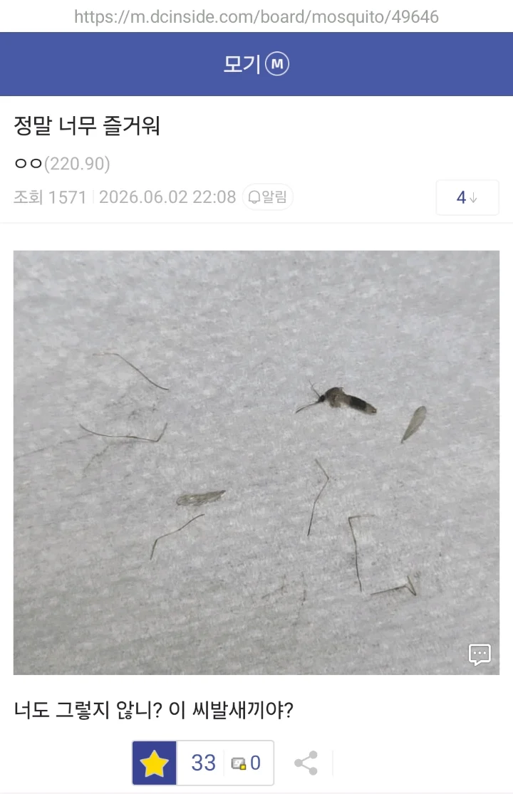 1781945571427321.webp