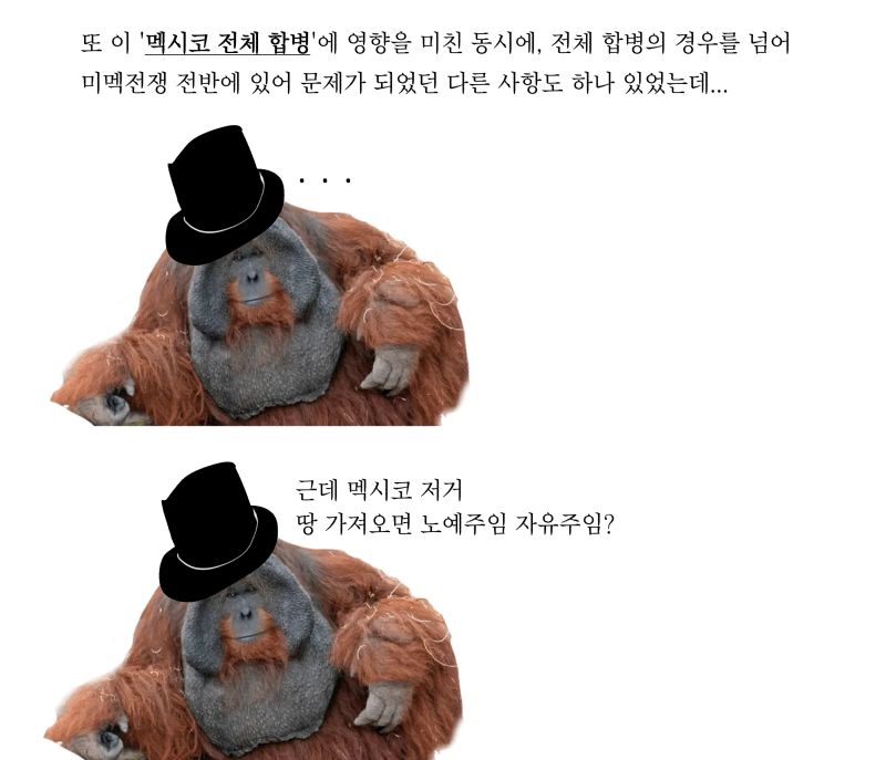 1781953011874598.jpg