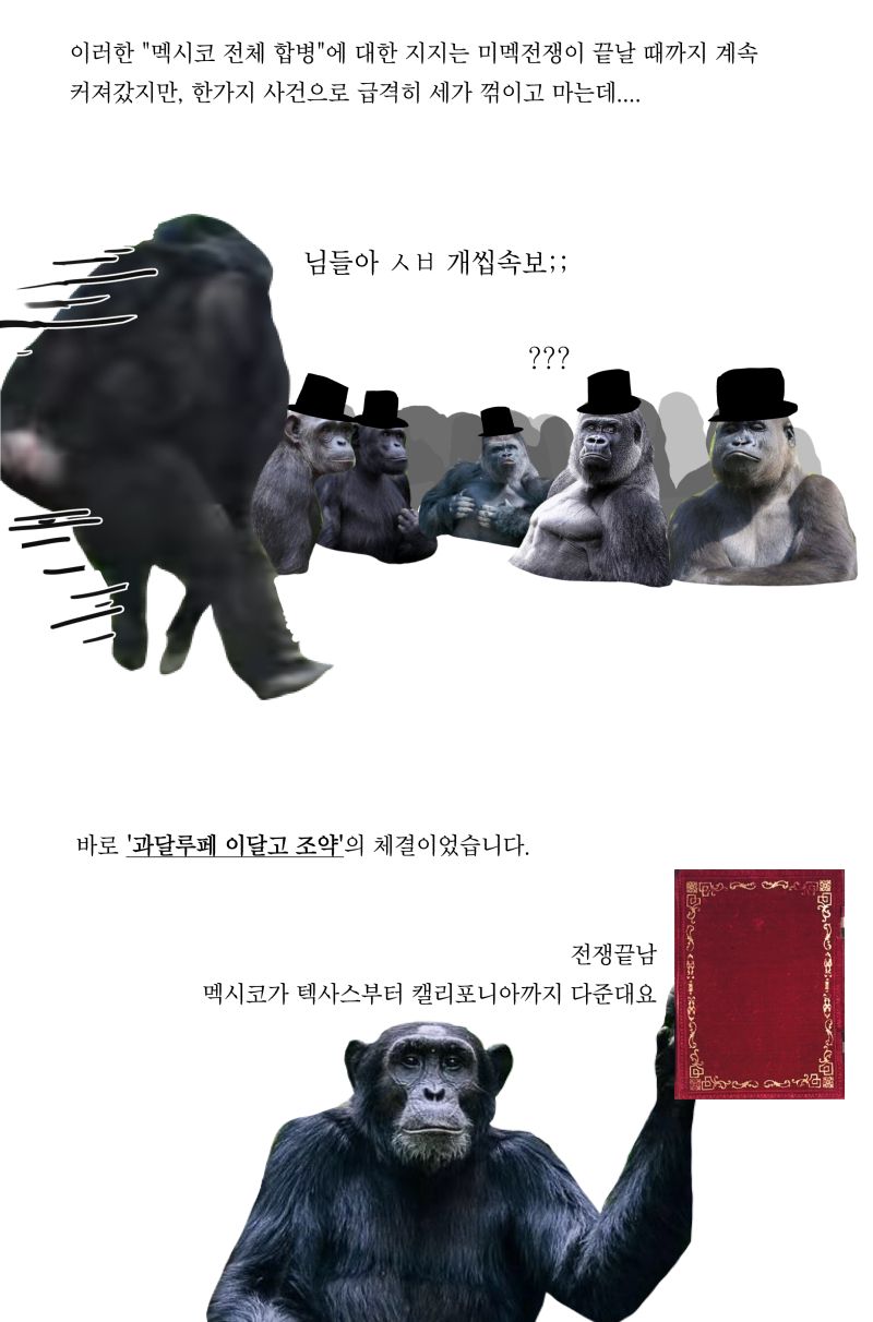 1781953011911854.jpg