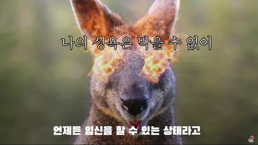 1782032166513847.webp