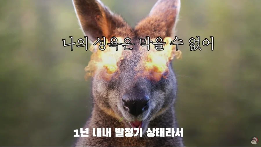 1782032166924506.webp