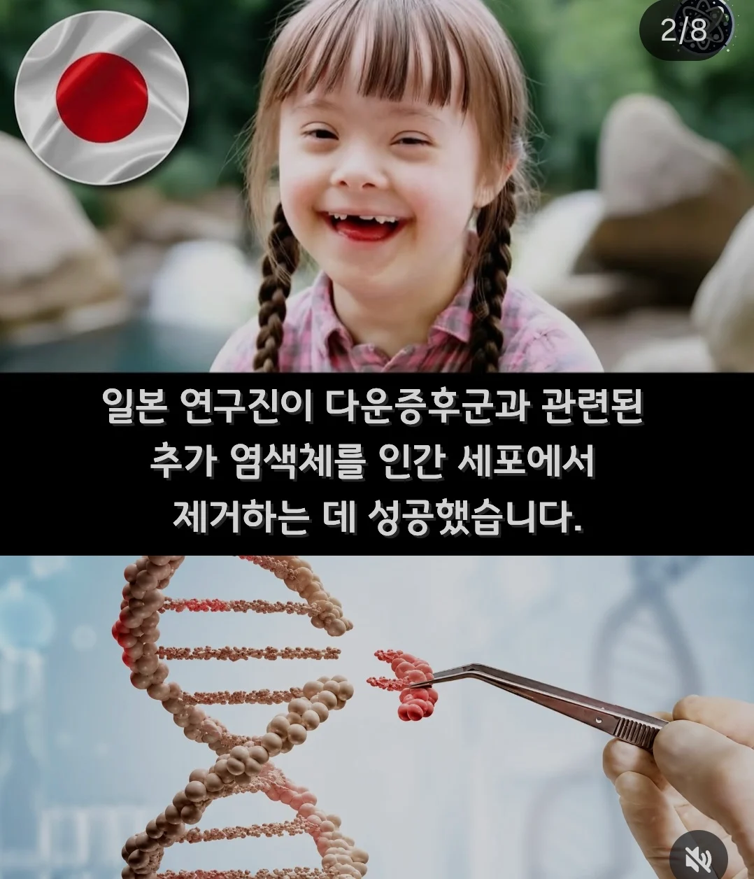 1782103867004729.webp