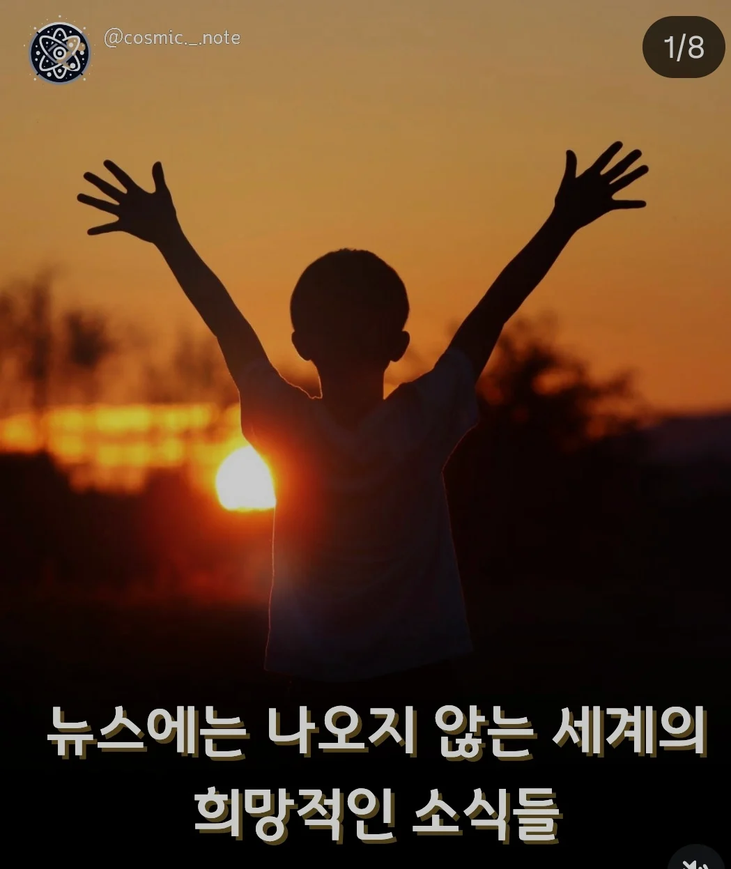 1782103867292826.webp