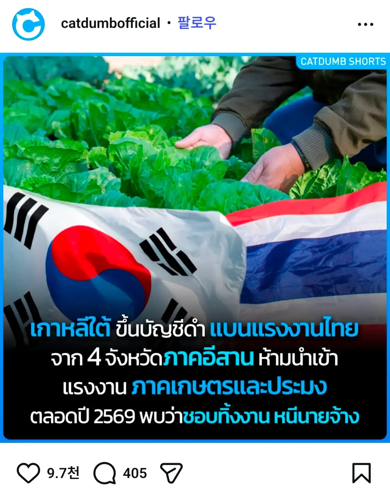 1782216203388818.webp