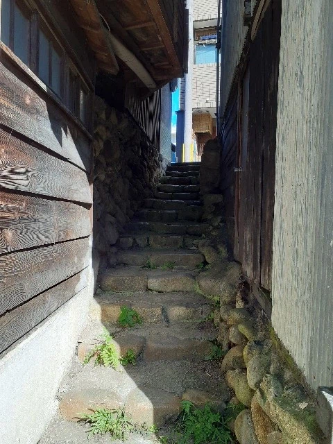 1782275624130812.webp