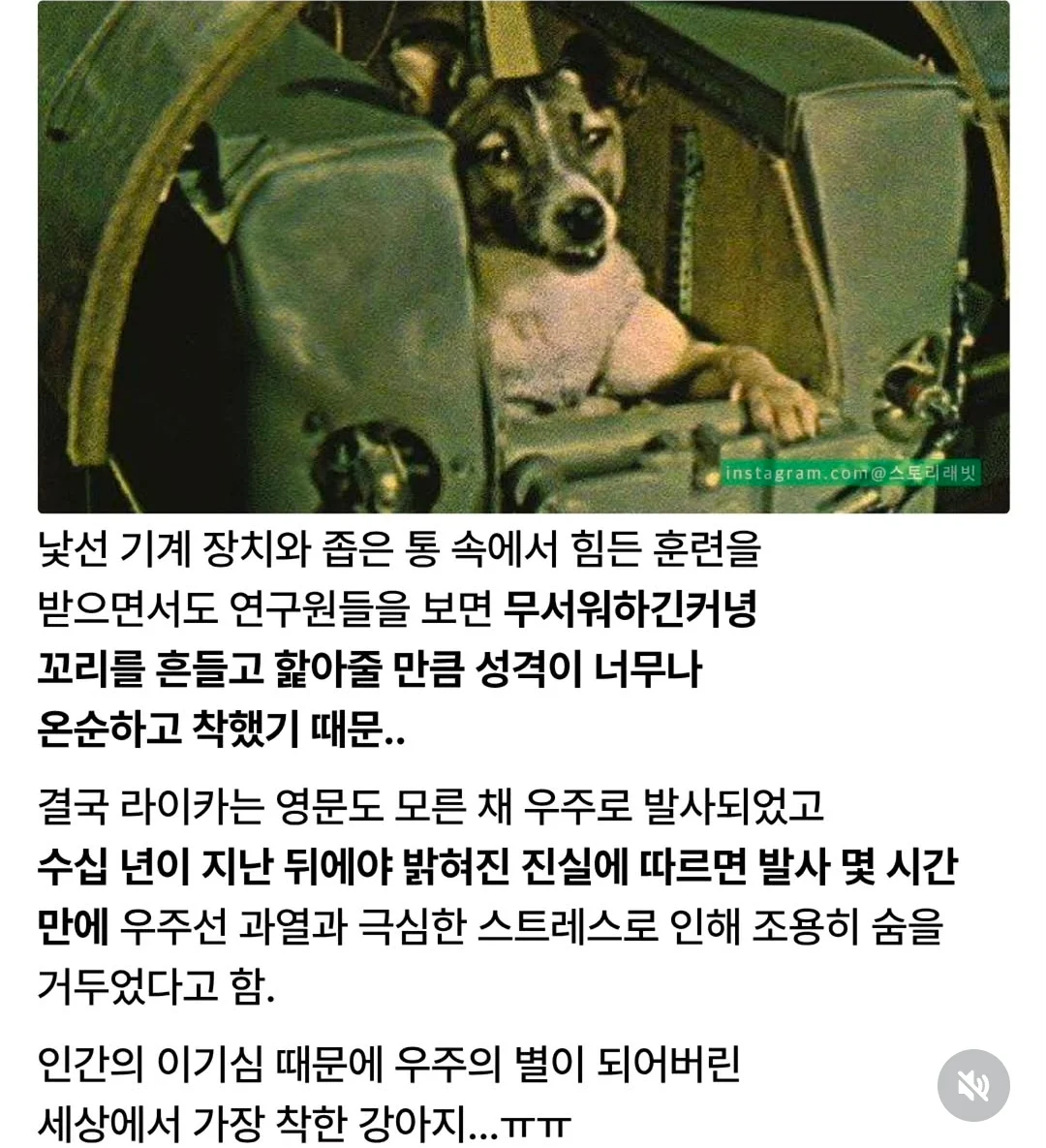 1782441047553378.webp