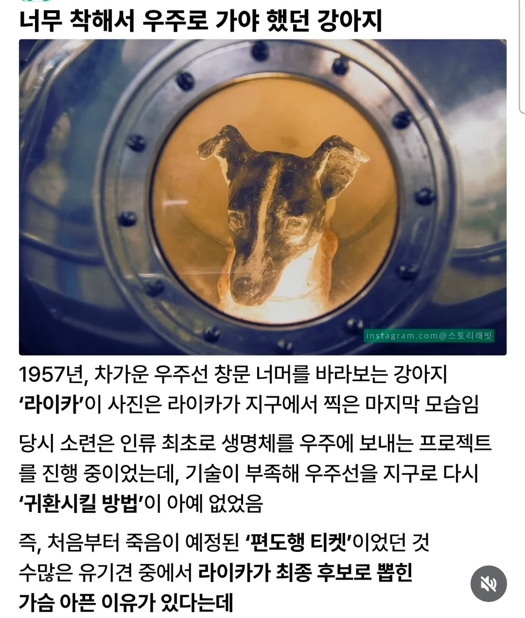 1782441047607459.webp